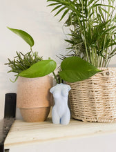 Load image into Gallery viewer, Busty Bud Vase