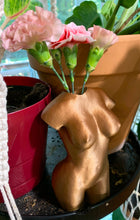 Load image into Gallery viewer, Busty Bud Vase