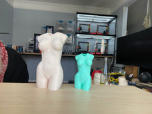 Load image into Gallery viewer, Busty Bud Vase