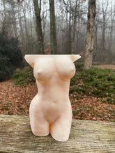 Load image into Gallery viewer, Large busty planter