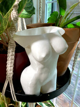 Load image into Gallery viewer, Large busty planter
