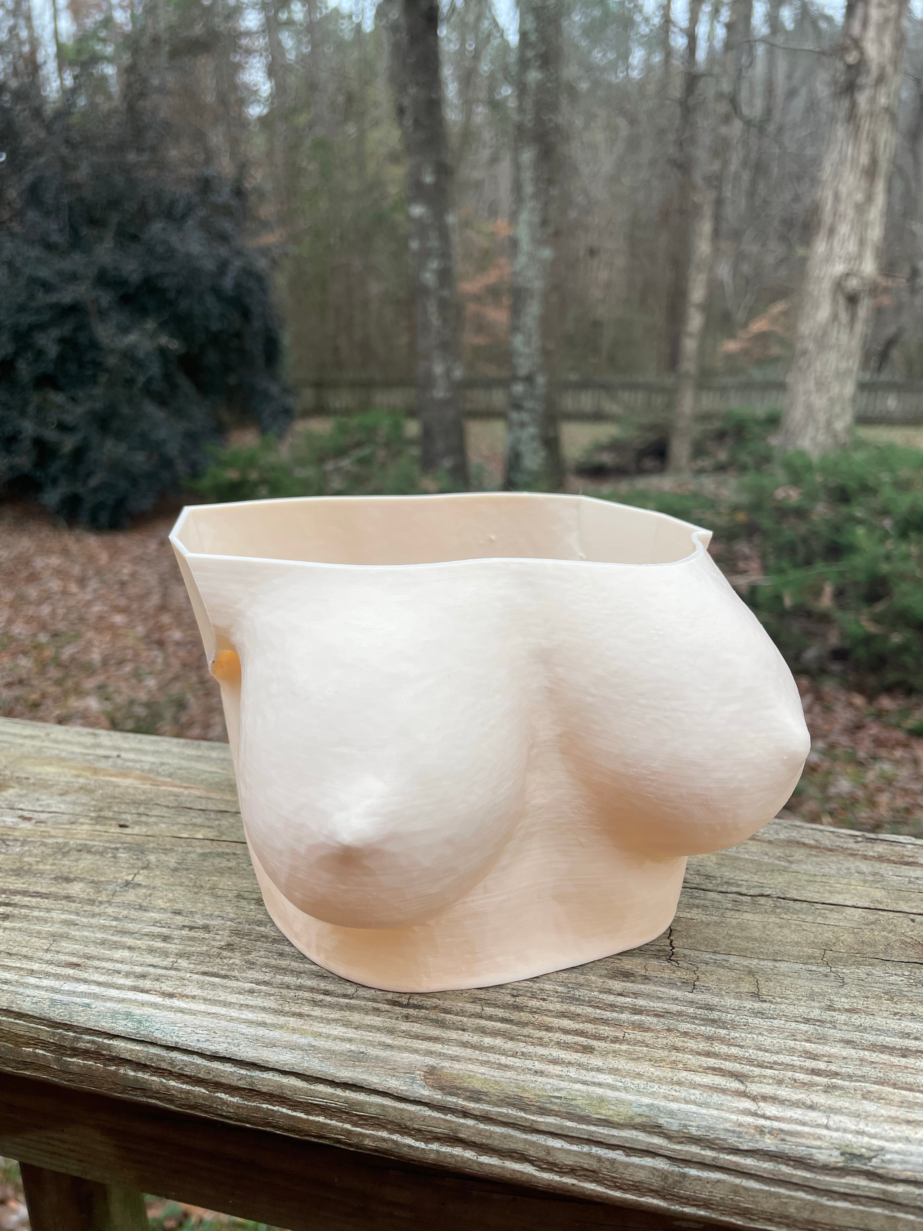 Curvy breast planter – Goddess of Plants