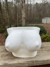 Load image into Gallery viewer, Curvy breast planter
