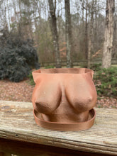 Load image into Gallery viewer, Curvy breast planter
